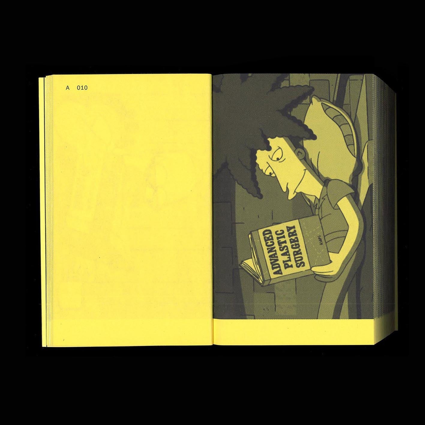 A Final Companion To Books From The Simpsons (Updated Version)