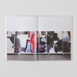 Amy Sillman - The ALL-OVER