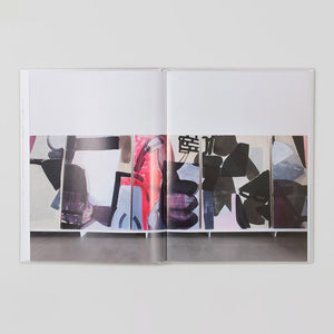 Amy Sillman - The ALL-OVER