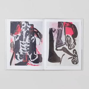 Amy Sillman - The ALL-OVER