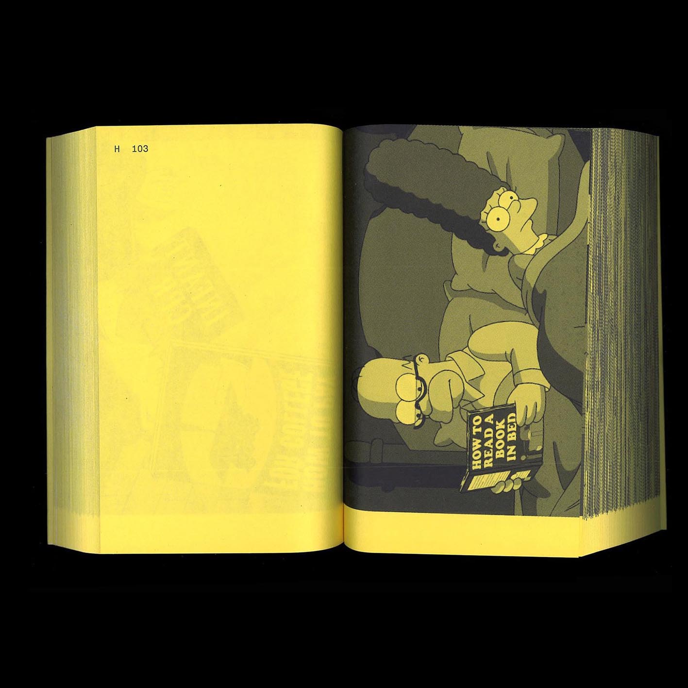 A Final Companion To Books From The Simpsons (Updated Version)