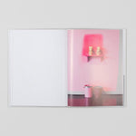 Amy Sillman - The ALL-OVER