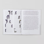 Amy Sillman - The ALL-OVER