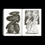 Shoplifters Issue 9: DRAWINGS
