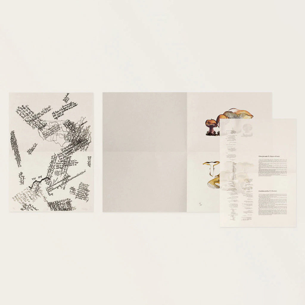 John Cage: A Mycological Foray