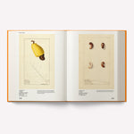 An Illustrated Catalog of American Fruits & Nuts