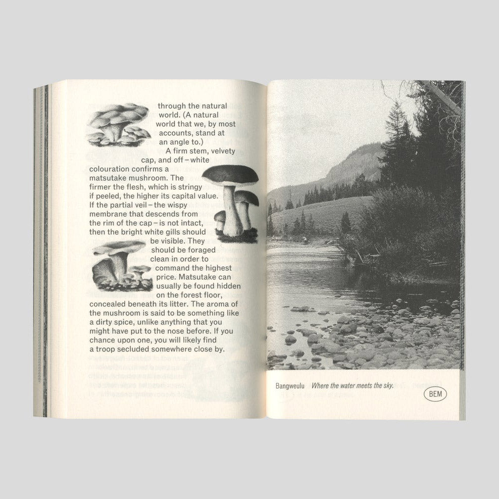 Softspot – James Taylor-Foster and OK-RM