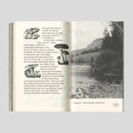 Softspot – James Taylor-Foster and OK-RM