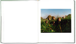 The British Isles – Jamie Hawkesworth