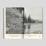 Softspot – James Taylor-Foster and OK-RM