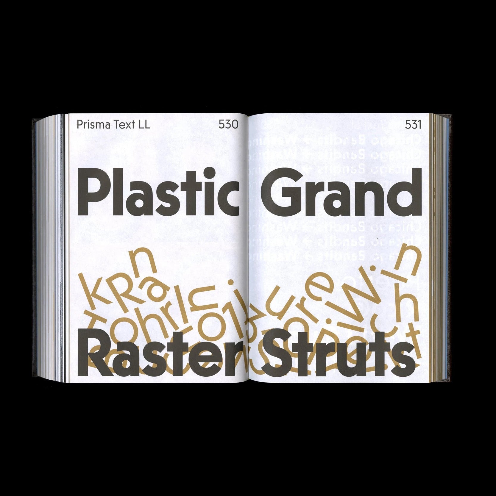 Shoplifters Issue 10: New Type Design Vol. 2