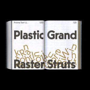 Shoplifters Issue 10: New Type Design Vol. 2