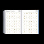 Shoplifters Issue 10: New Type Design Vol. 2