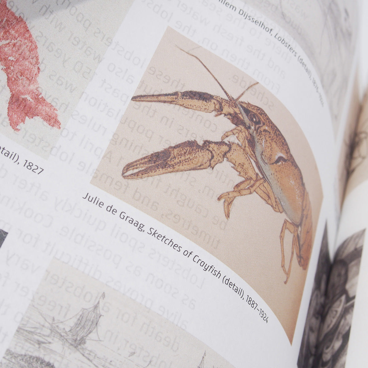 Rijksmuseum Cookbook - Jonah Freud