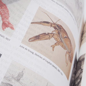 Rijksmuseum Cookbook - Jonah Freud
