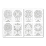 Fukt Magazine for Contemporary Drawing - Issue 18