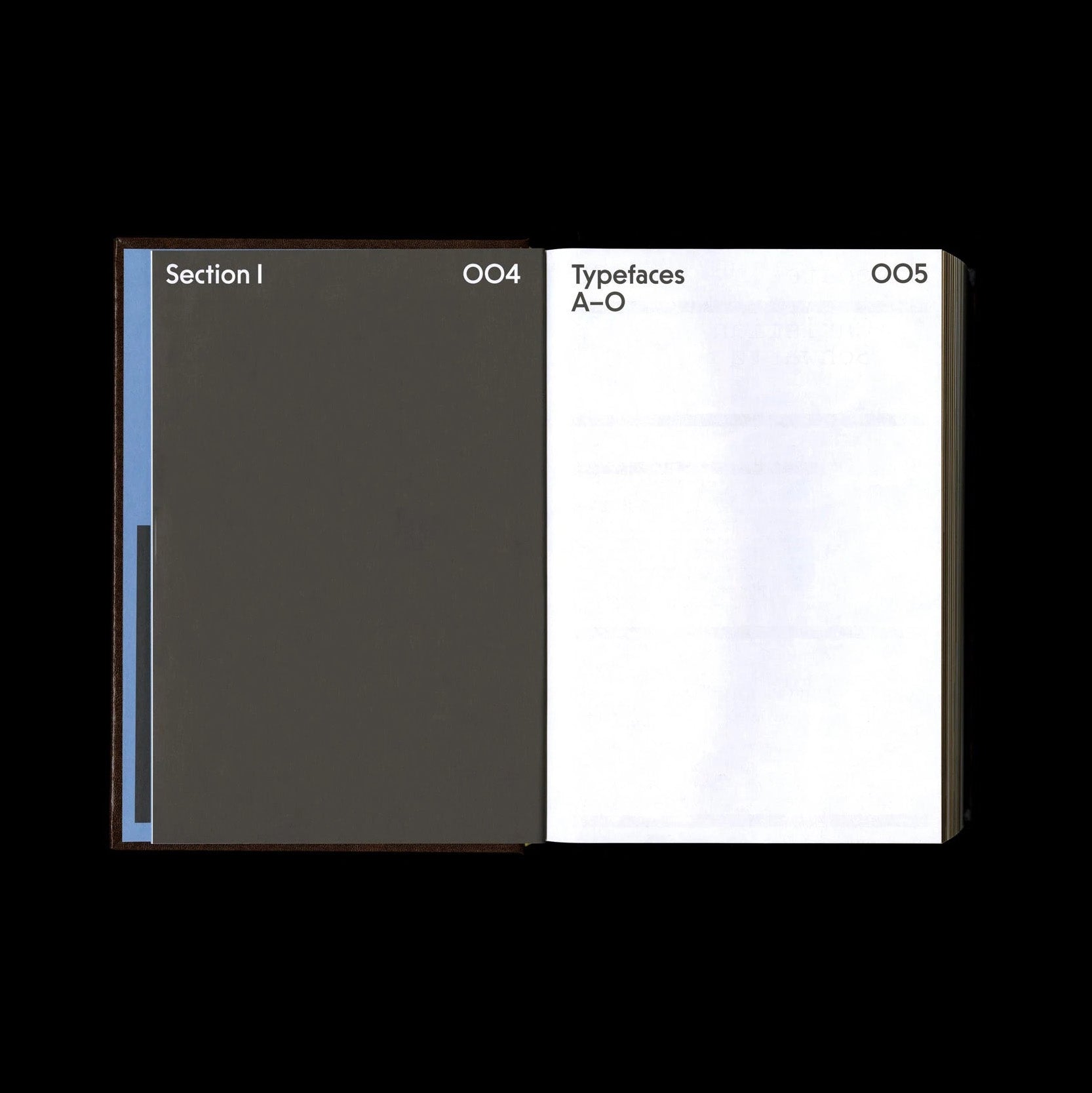 Shoplifters Issue 10: New Type Design Vol. 2