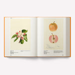 An Illustrated Catalog of American Fruits & Nuts