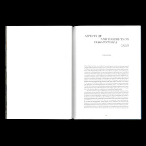Fragments of a Crisis - Julian Irlinger