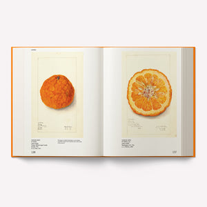 An Illustrated Catalog of American Fruits & Nuts