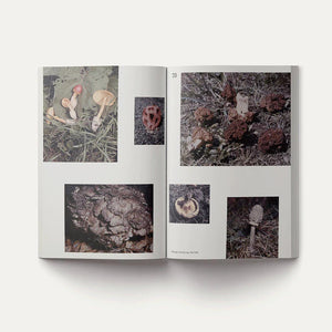 John Cage: A Mycological Foray