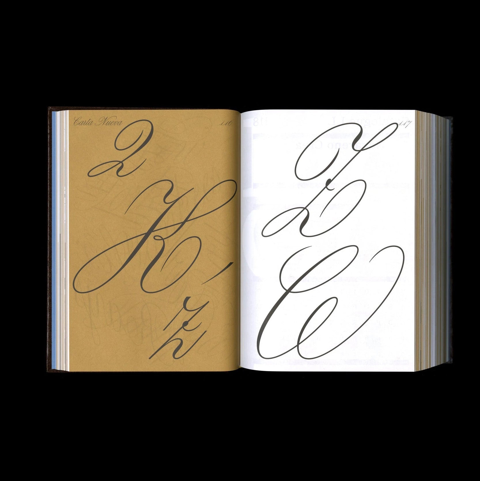 Shoplifters Issue 10: New Type Design Vol. 2