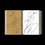 Shoplifters Issue 10: New Type Design Vol. 2