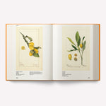 An Illustrated Catalog of American Fruits & Nuts