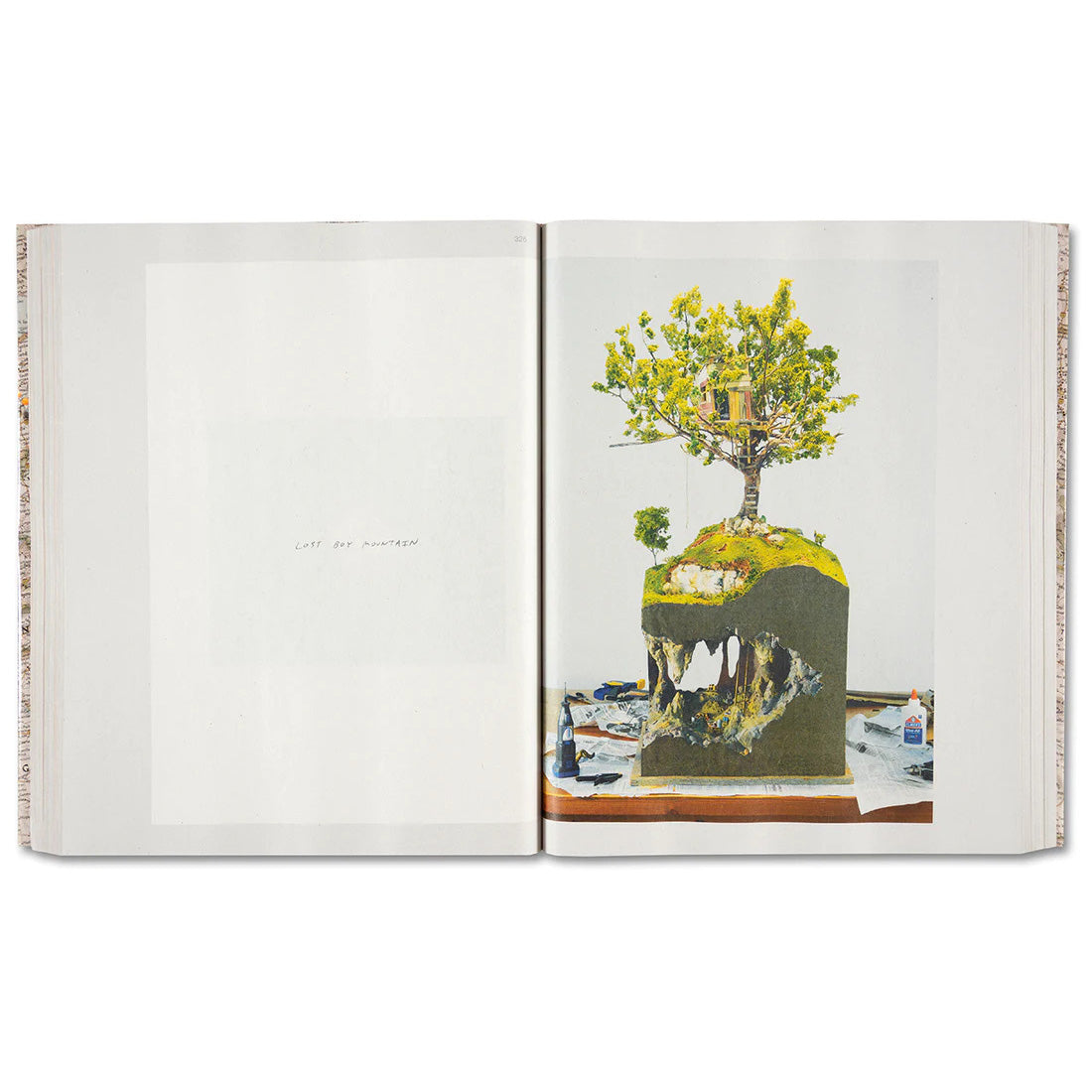 Gathered Leaves Annotated – Alec Soth