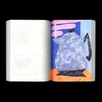 Shoplifters Issue 9: DRAWINGS