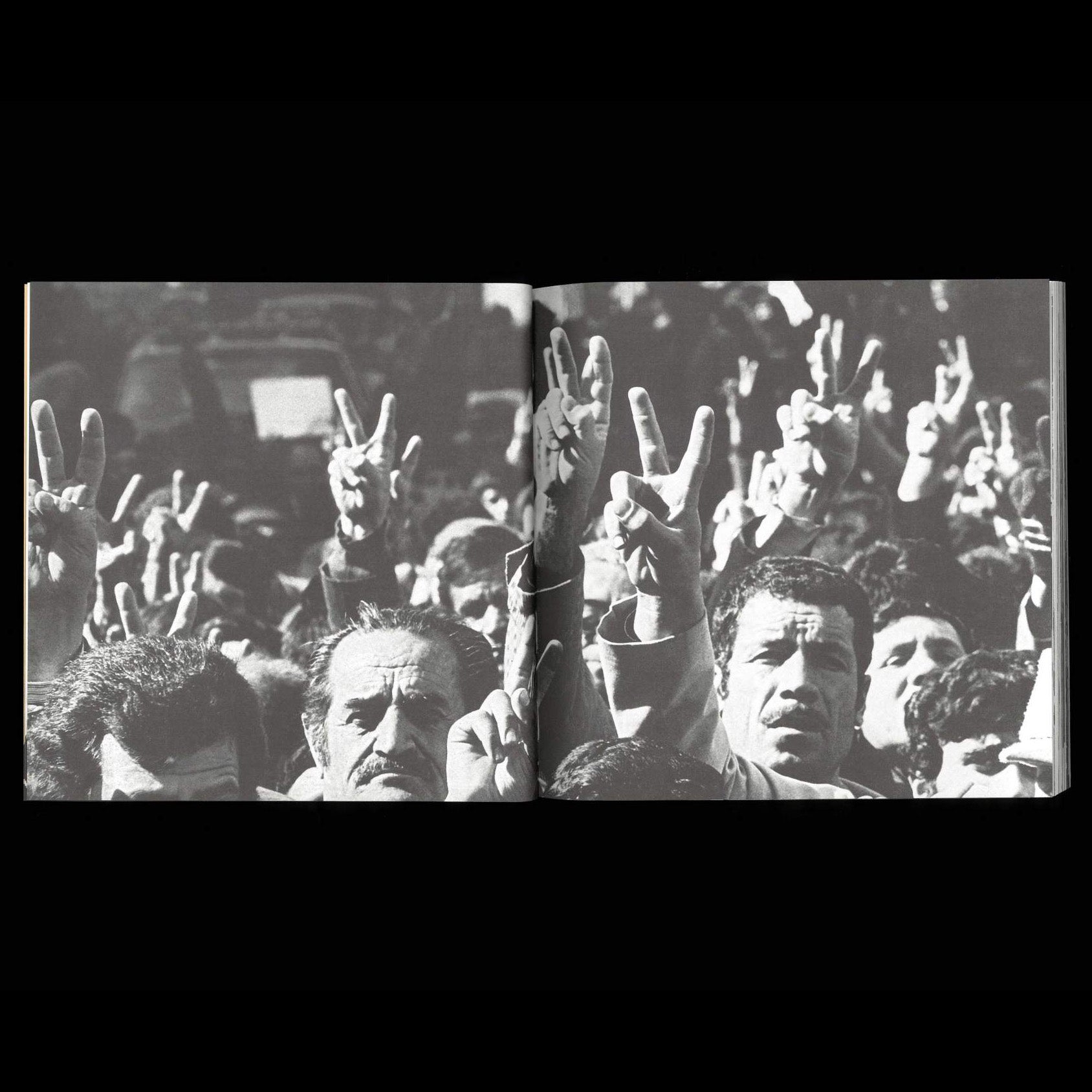 Days of Blood, Days of Fire - Bahman Jalali