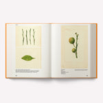 An Illustrated Catalog of American Fruits & Nuts