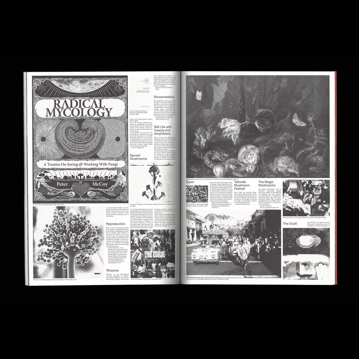 Shelter Cookbook - Leopold Banchini, Lukas Feireiss & Lloyd Kahn