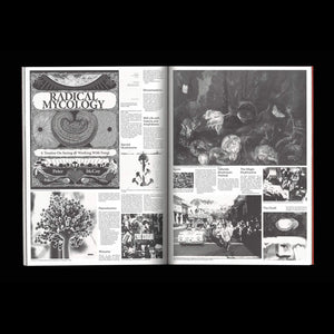 Shelter Cookbook - Leopold Banchini, Lukas Feireiss & Lloyd Kahn