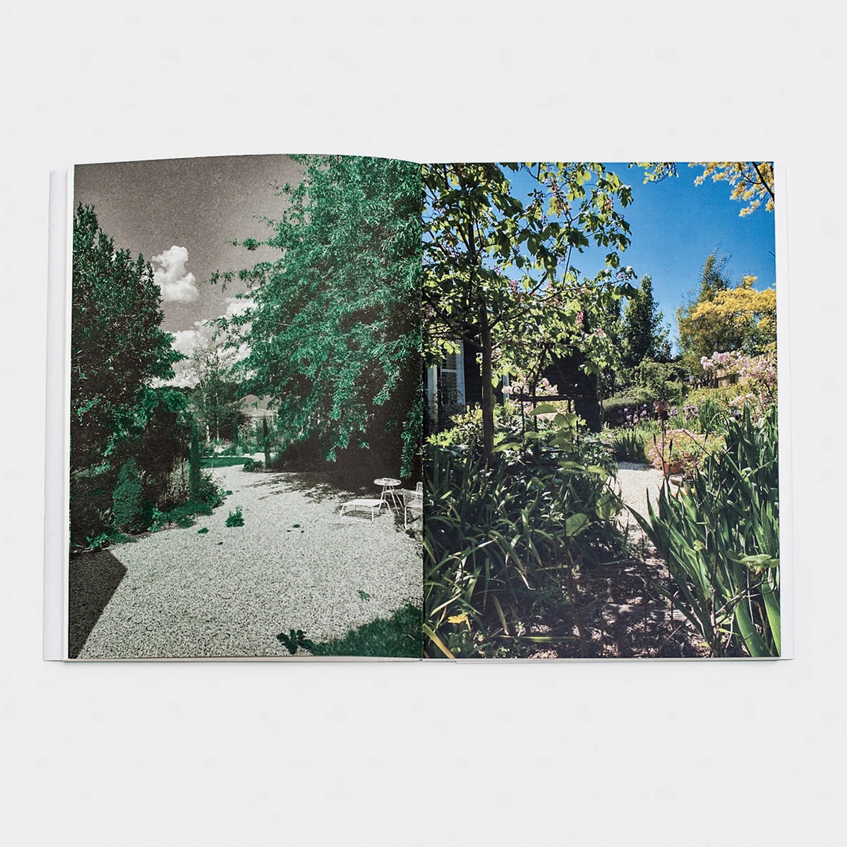 Doing, Seeing; Seeing, Doing Book – Leon Schaik