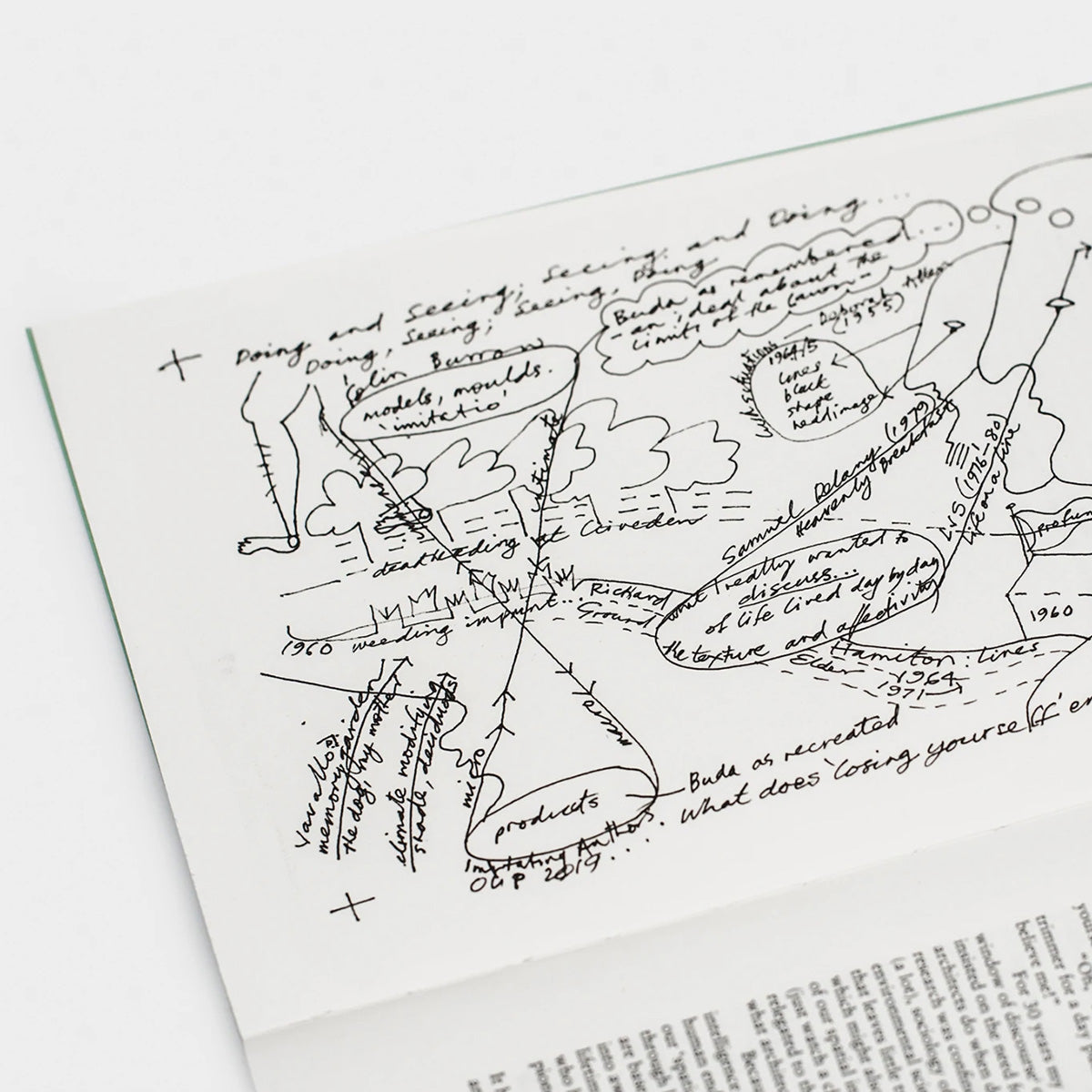 Doing, Seeing; Seeing, Doing Book – Leon Schaik