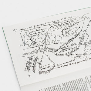 Doing, Seeing; Seeing, Doing Book – Leon Schaik