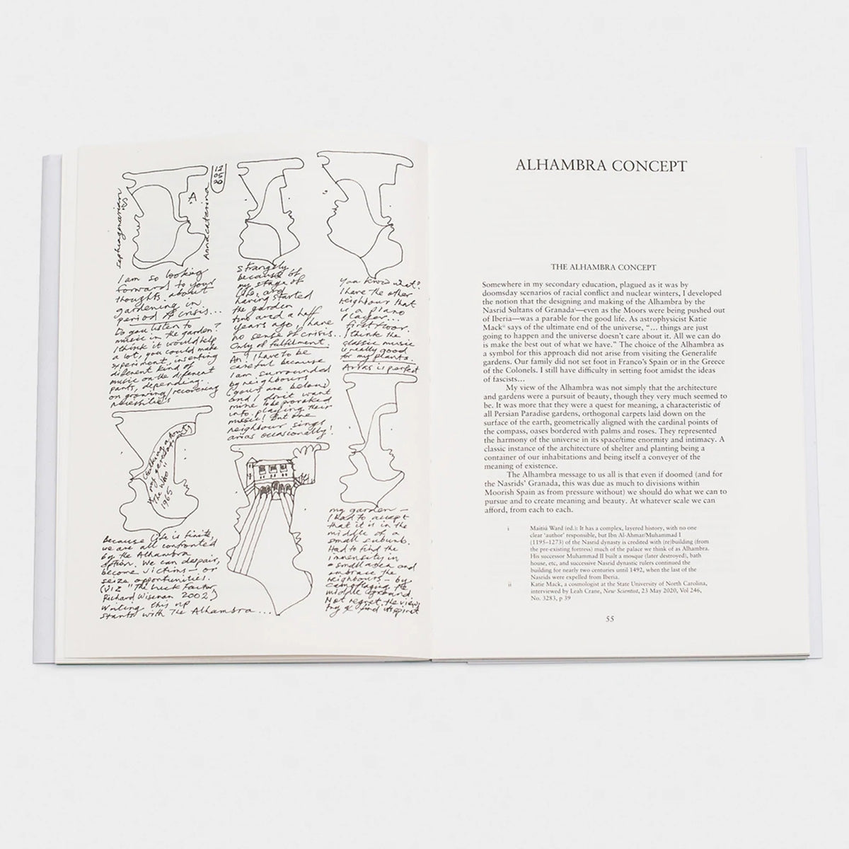 Doing, Seeing; Seeing, Doing Book – Leon Schaik