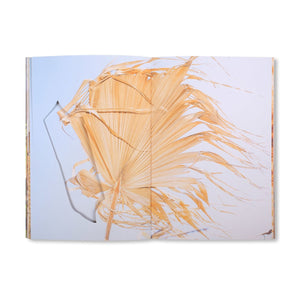 Ricardo Cases - Estudio elemental del Levante