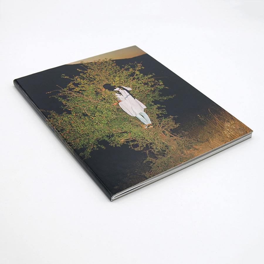 Sarah Pannell - Tabriz to Shiraz