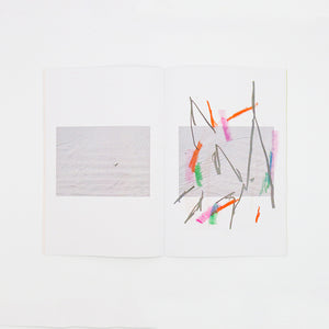 Ambient Park - Felicia Atkinson