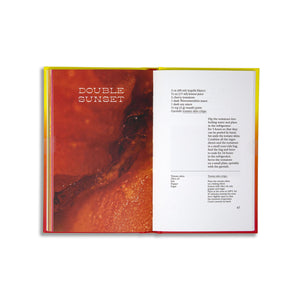 Sunset Cocktails – Guillaume Aubry and Sterling Hudson