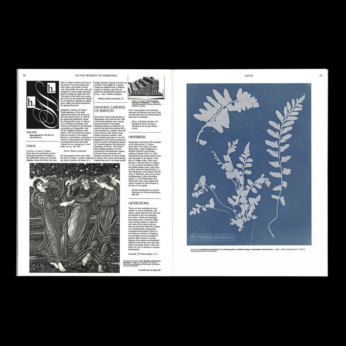 On the Necessity of Gardening: An ABC of Art, Botany and Cultivation