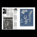 On the Necessity of Gardening: An ABC of Art, Botany and Cultivation