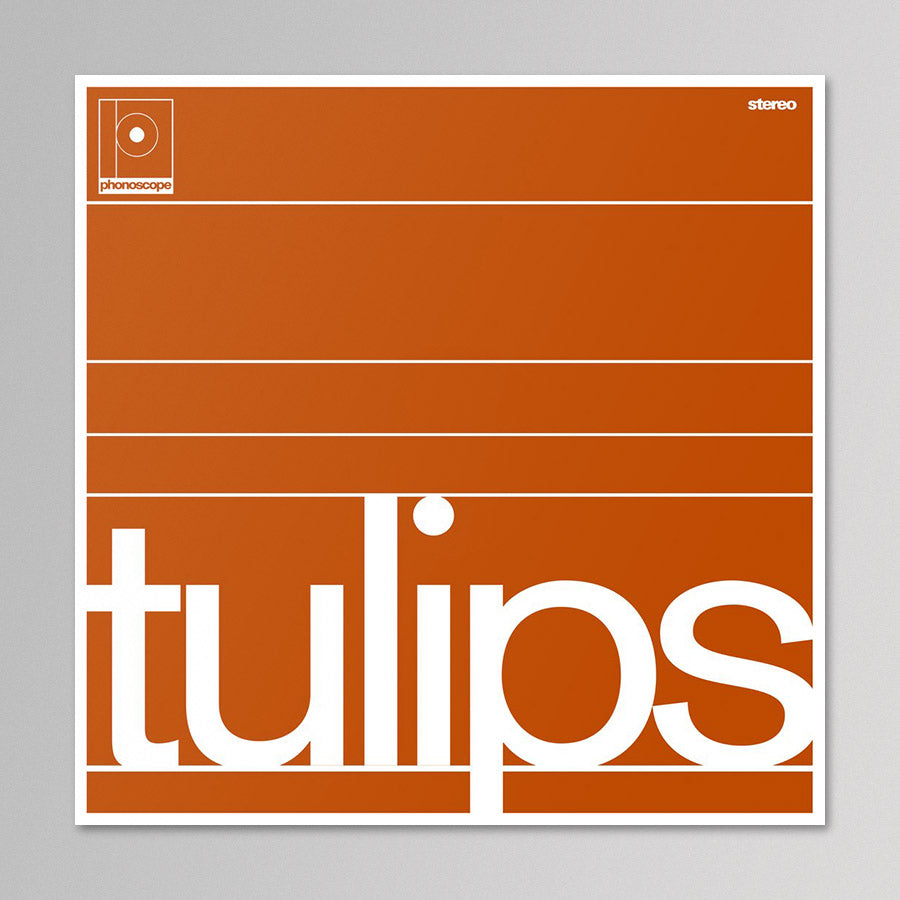 Maston – Tulips