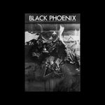 Black Phoenix: Third World Perspective on Contemporary Art and Culture