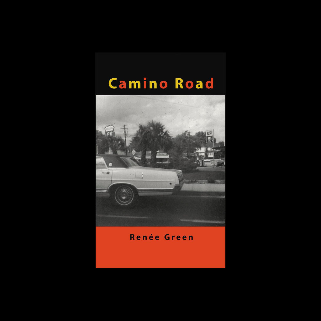 Camino Road - Renée Green