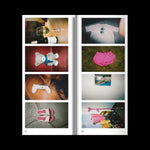 Real Review 12