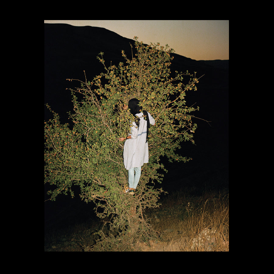 Sarah Pannell - Tabriz to Shiraz