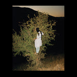 Sarah Pannell - Tabriz to Shiraz
